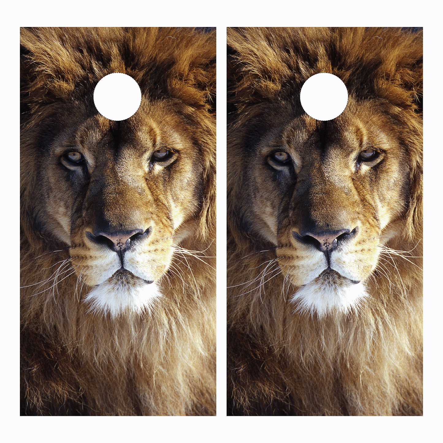 Lion Cornhole Wraps